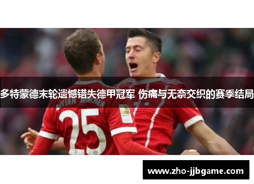 多特蒙德末轮遗憾错失德甲冠军 伤痛与无奈交织的赛季结局 多特蒙德末轮遗憾错失德甲冠军 伤痛与无奈交织的赛季结局