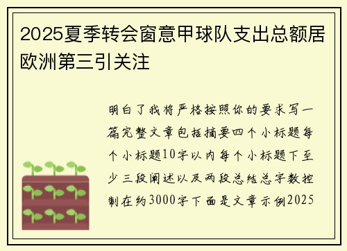 2025夏季转会窗意甲球队支出总额居欧洲第三引关注 2025夏季转会窗意甲球队支出总额居欧洲第三引关注